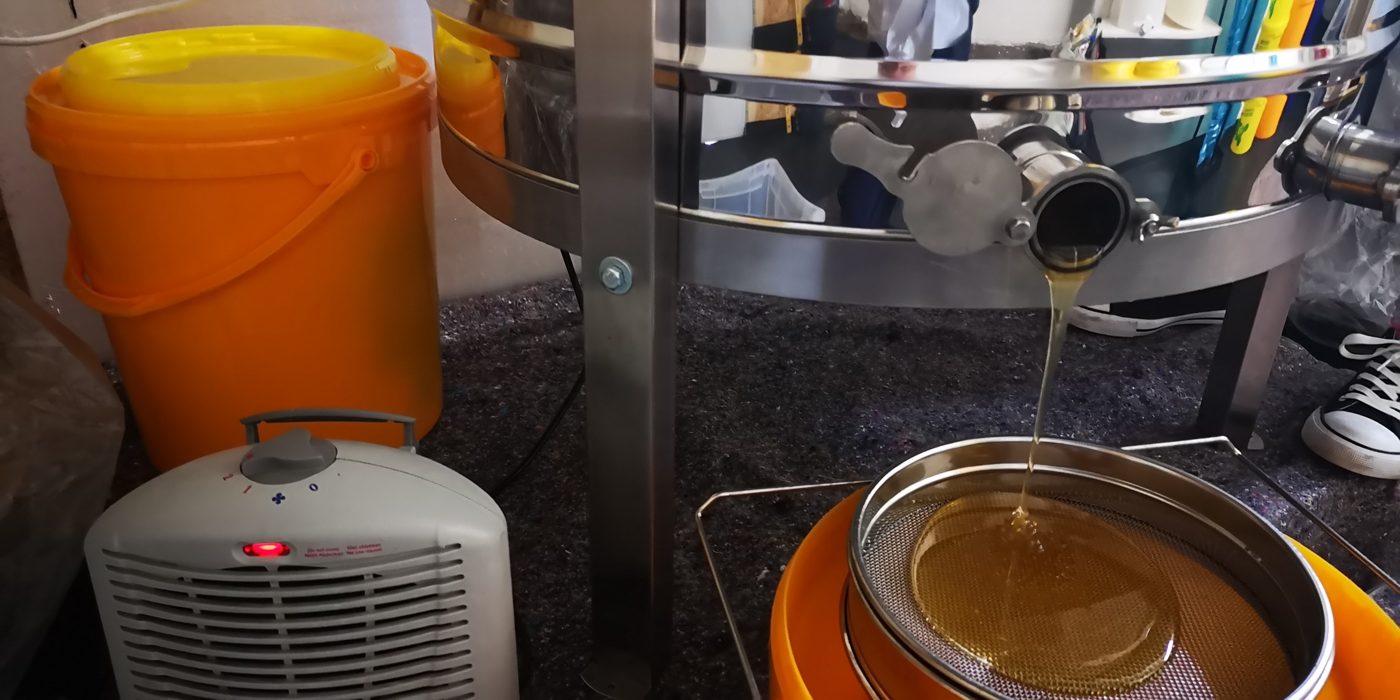 Frisch geschleuderter Honig läuft aus der Schleuder durch ein Sieb in einen Eimer