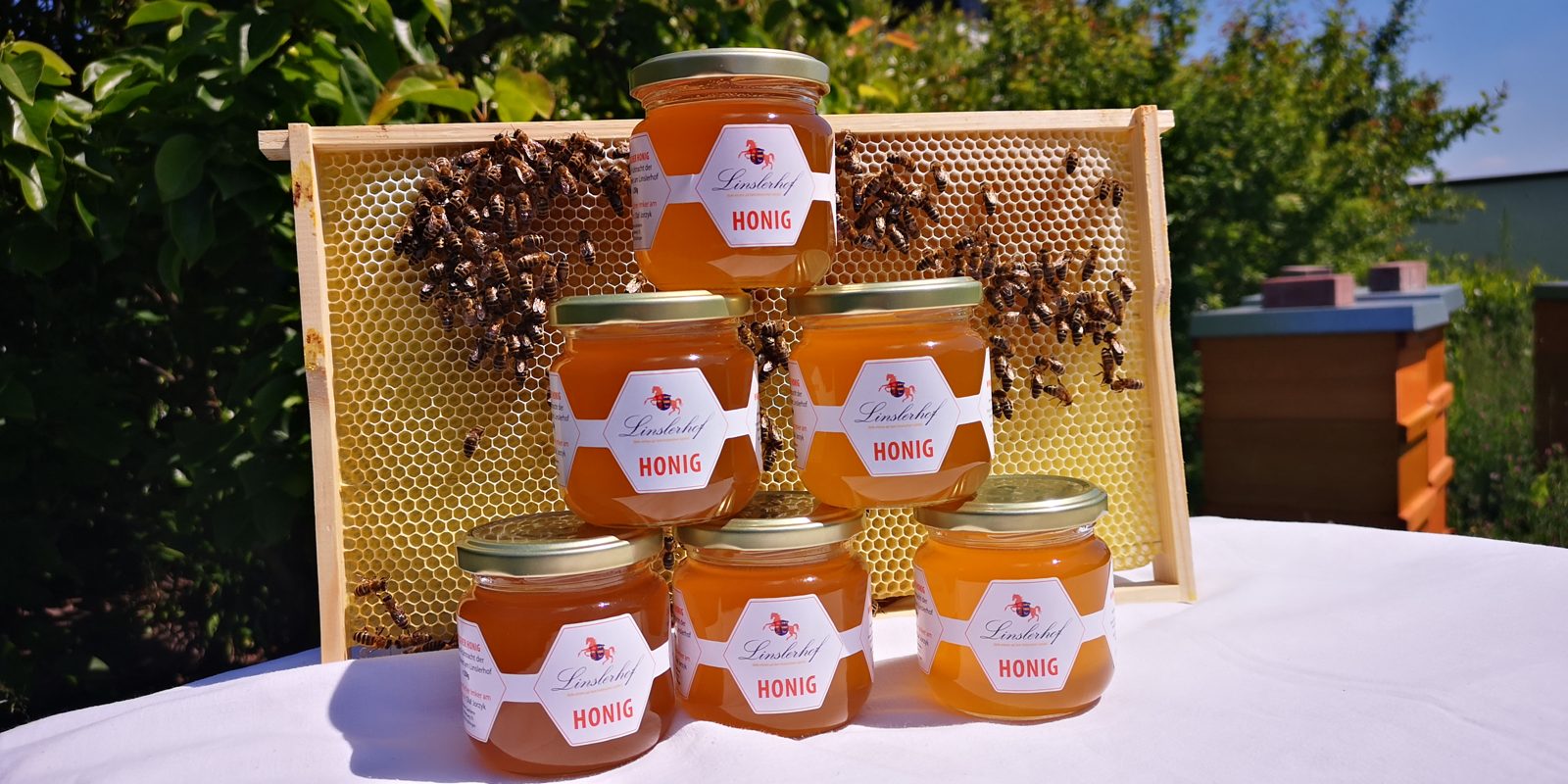 Gläser mit Linslerhof-Honig vor einem Wabenrahmen mit Bienen