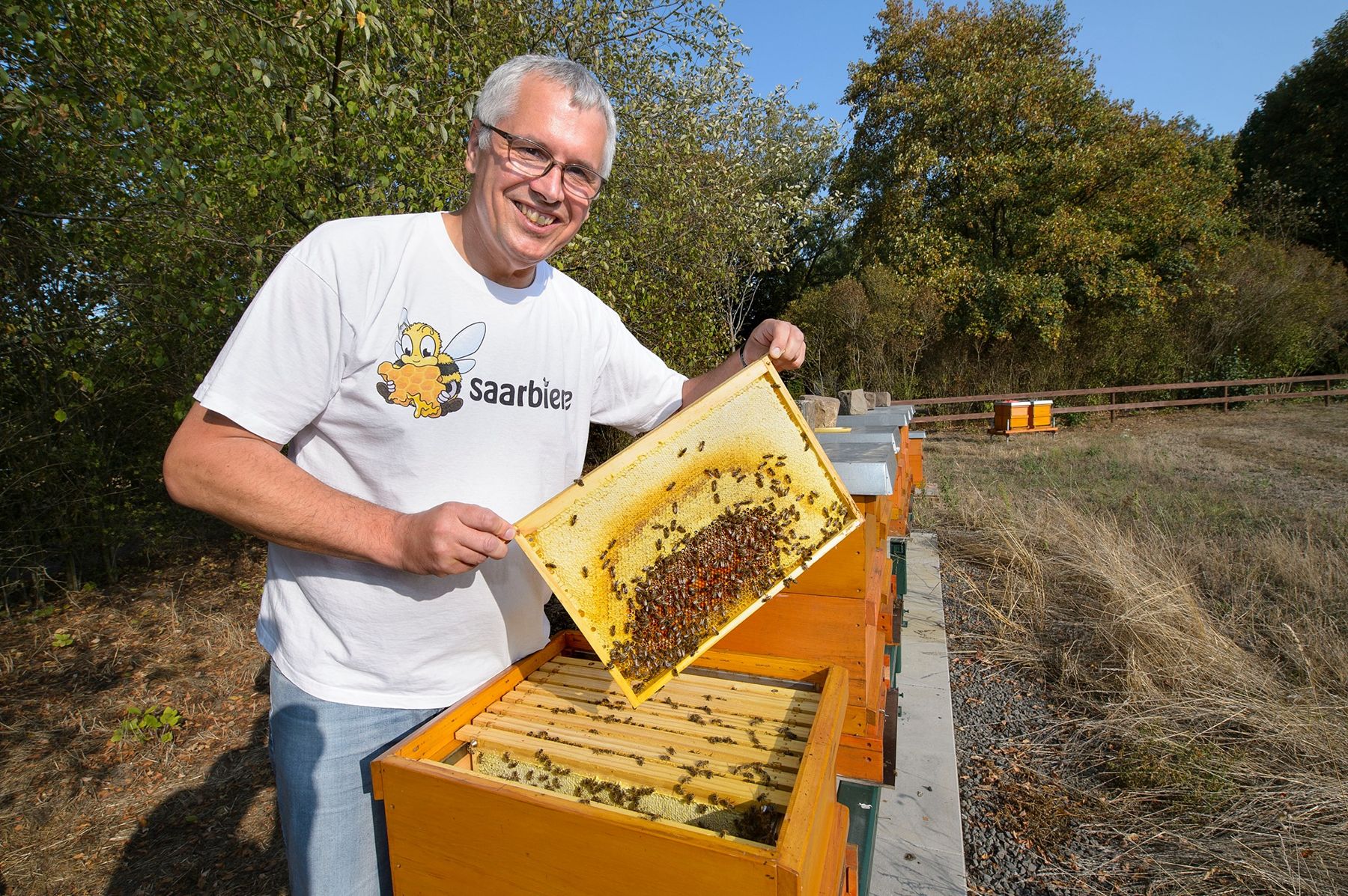 Imker Olaf Jorzyk zieht eine volle Wabe aus dem Bienenstock